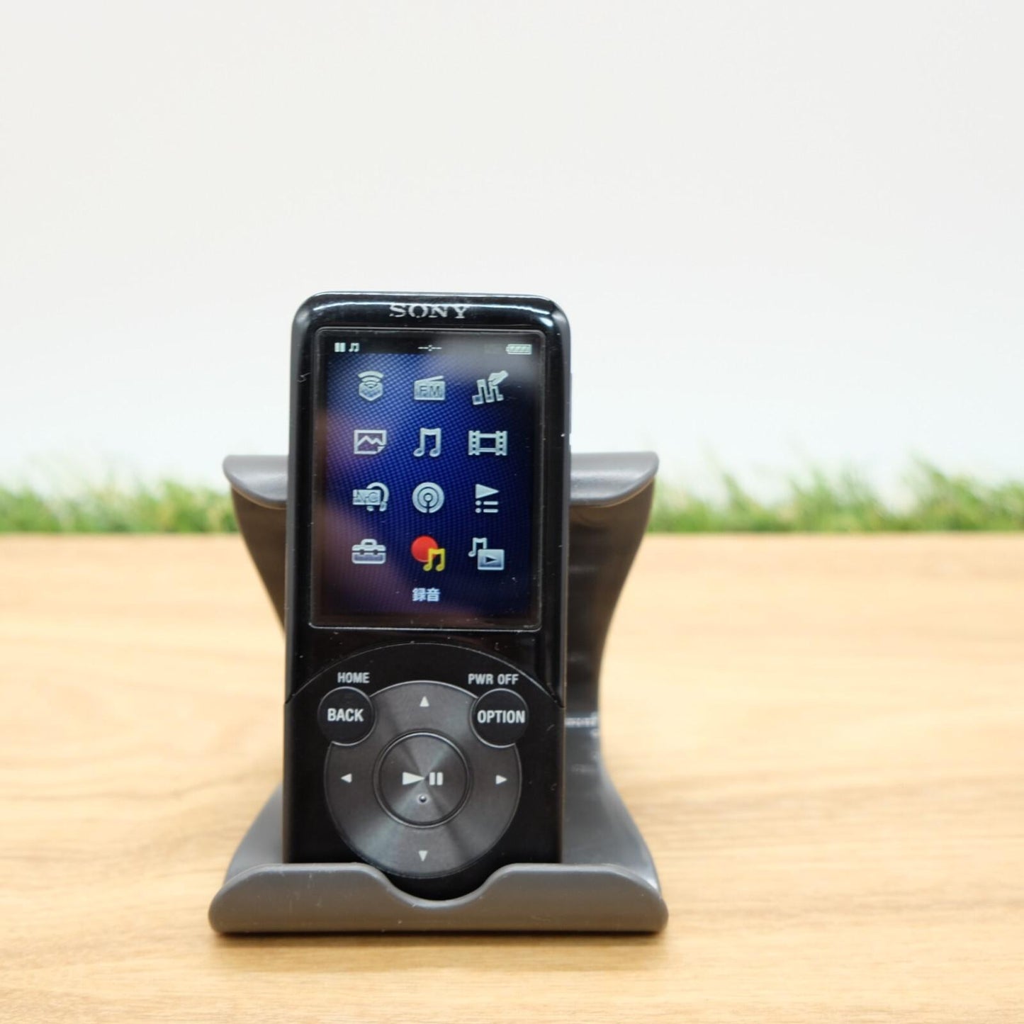 SONY WALKMAN NW-S754 8GB Black Digital Music Player Japan [Near Mint] #1201