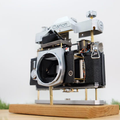 Canon FTb QL 35mm Film Sliver Artistic Brass Skeleton Japan [Pre Order] #1298A