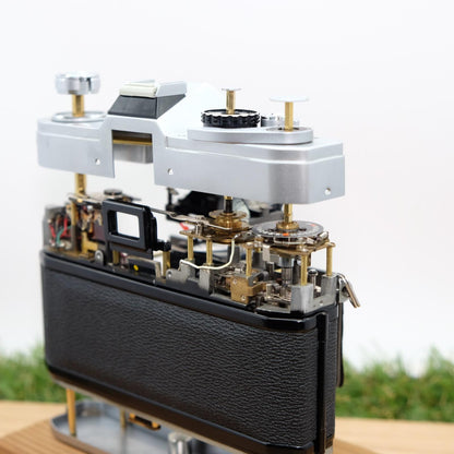 Canon FTb QL 35mm Film Sliver Artistic Brass Skeleton Japan [Pre Order] #1298A