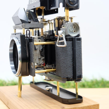 Canon FTb QL 35mm Film Black Artistic Brass Skeleton Mod Handmade in Japan #1311